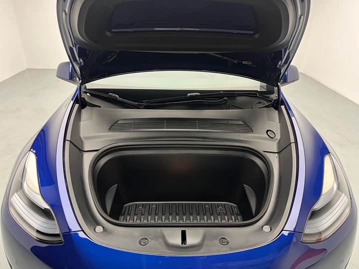 Tesla Model Y 2022 2022款 Performance高性能全轮驱动版