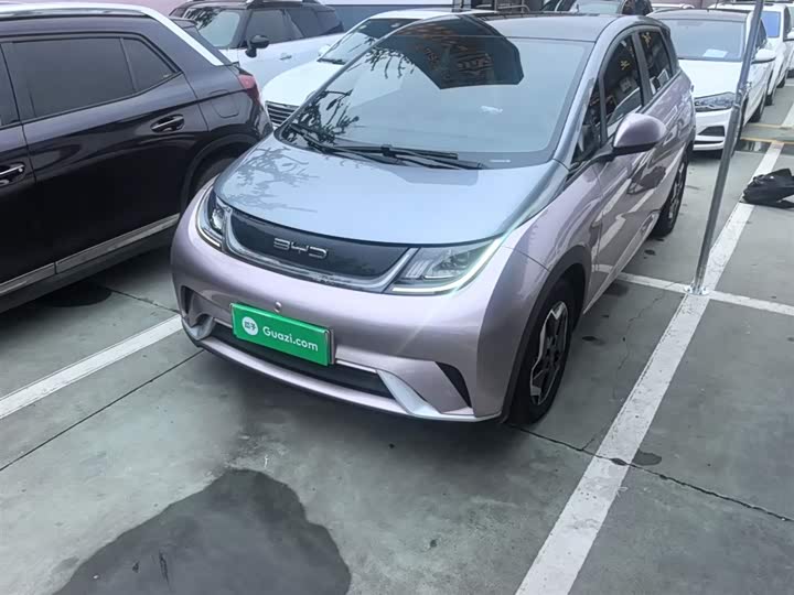 Фото 2 - BYD Dolphin