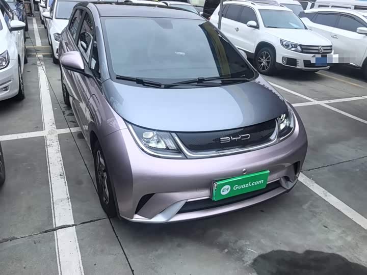 Фото 4 - BYD Dolphin