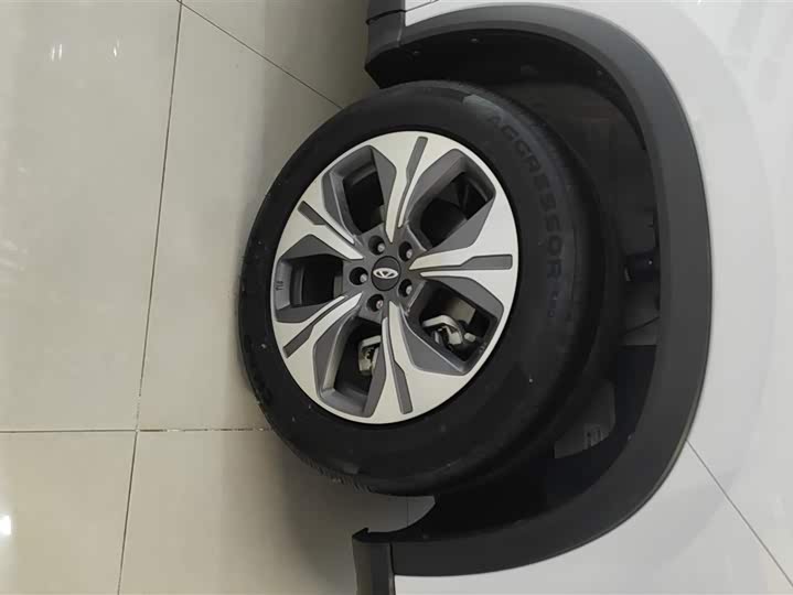 Chery Tiggo 8 Pro Hybrid 2023 2023款 冠军版 1.5T 100km 荣耀版