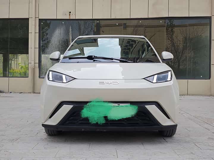 Фото 2 - BYD Seagull