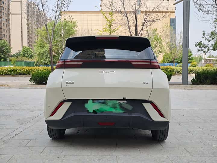 Фото 4 - BYD Seagull