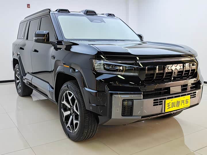 Фото 3 - BYD FangChengBao Leopard 8