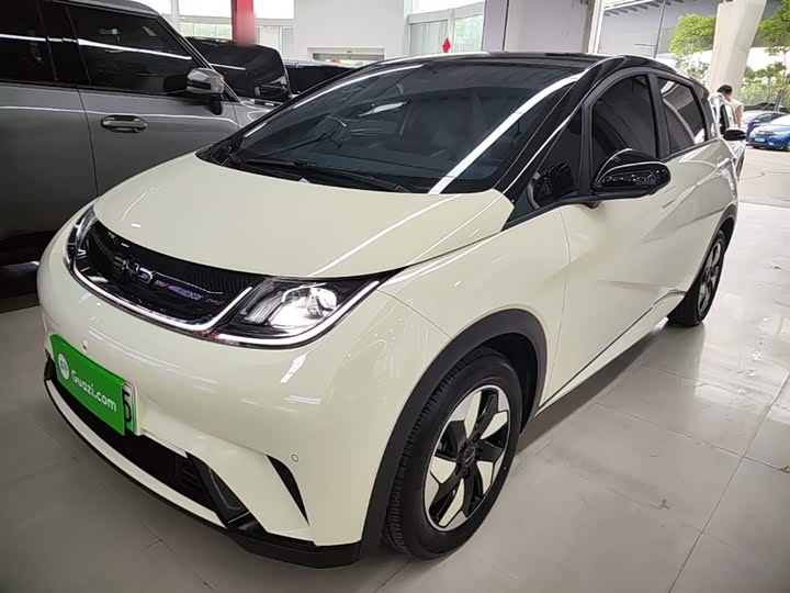 Zdjęcie 1 - BYD Dolphin