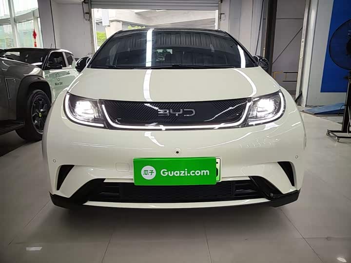 Zdjęcie 3 - BYD Dolphin