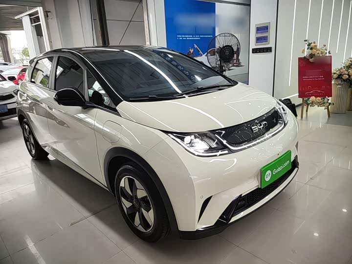 Zdjęcie 4 - BYD Dolphin