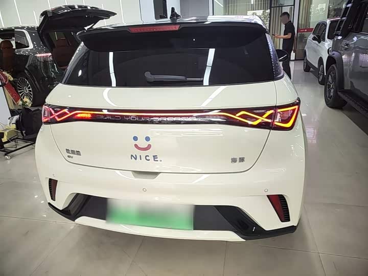 Zdjęcie 6 - BYD Dolphin