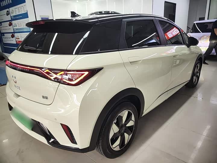 Zdjęcie 7 - BYD Dolphin