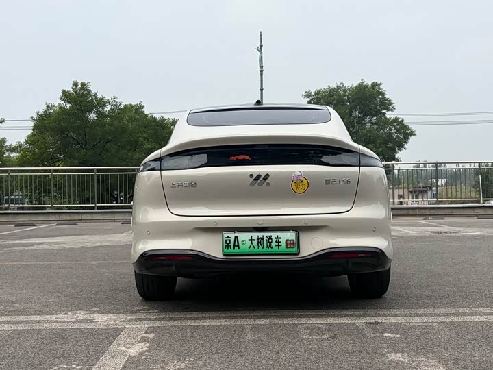 Фото 8 - IM motors LS6
