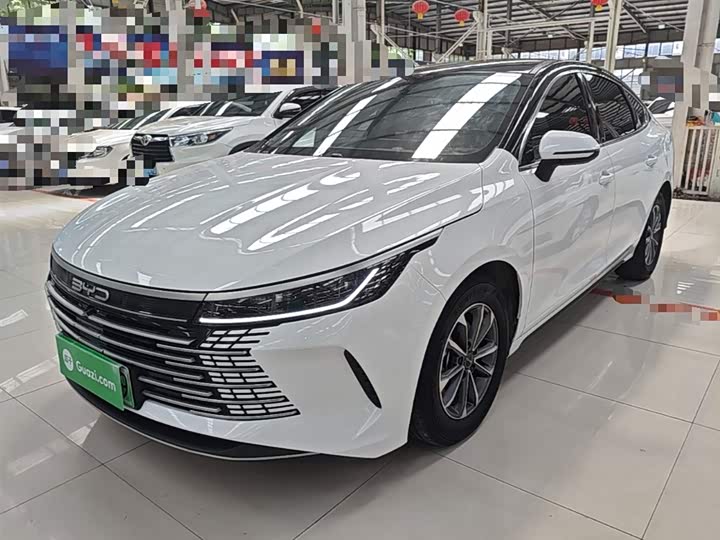 BYD Destroyer 05 2024 2024款 荣耀版 DM-i 55KM 豪华型