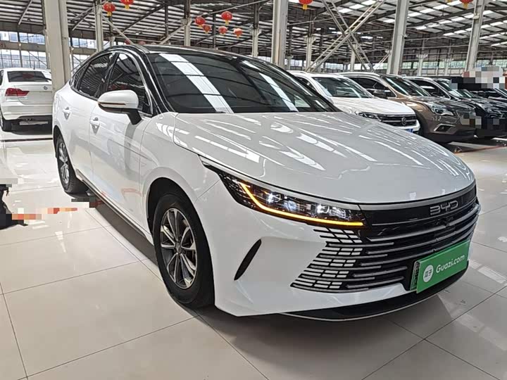 BYD Destroyer 05 2024 2024款 荣耀版 DM-i 55KM 豪华型