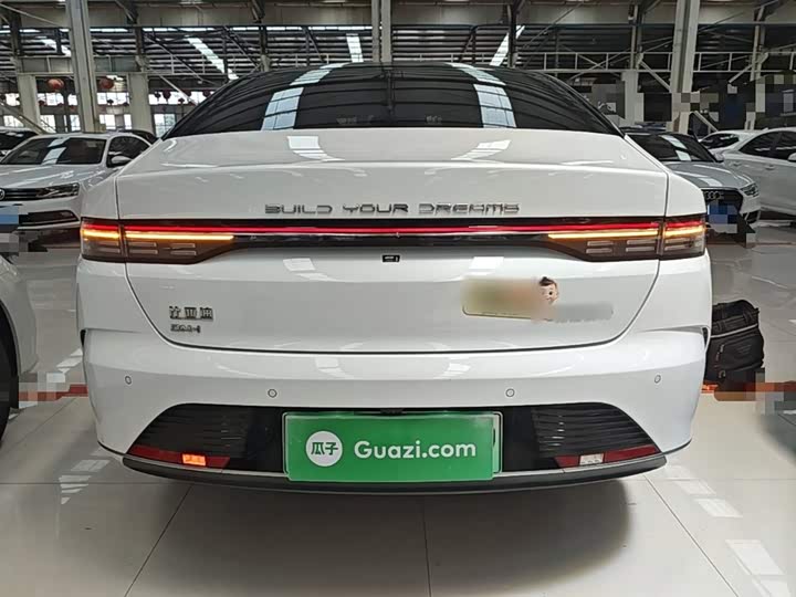 BYD Destroyer 05 2024 2024款 荣耀版 DM-i 55KM 豪华型