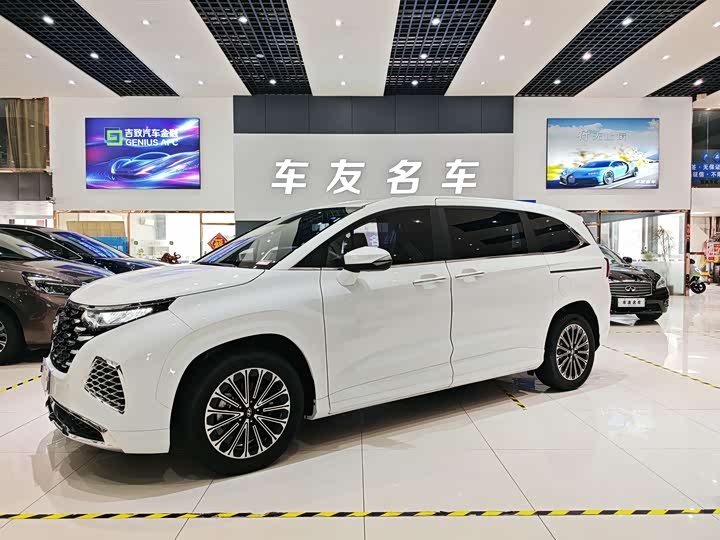 Hyundai Custo 2024 2024款 270TGDi LUX 尊贵版