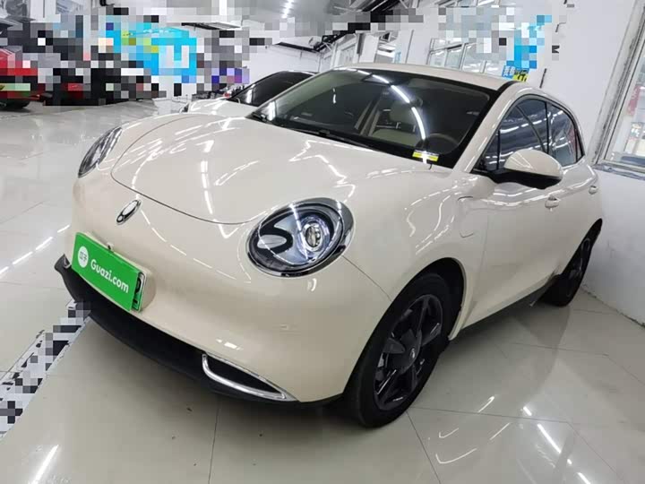 Ora Good Cat (03) 2024 2024款 401km 豪华型