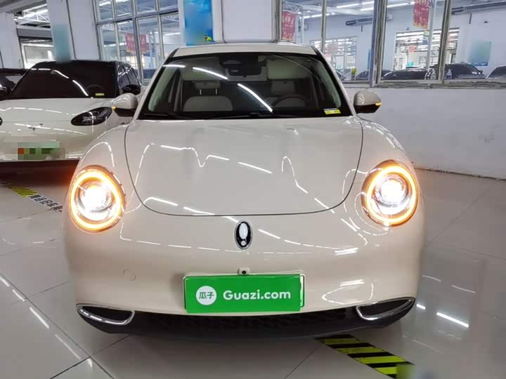 Ora Good Cat (03) 2024 2024款 401km 豪华型