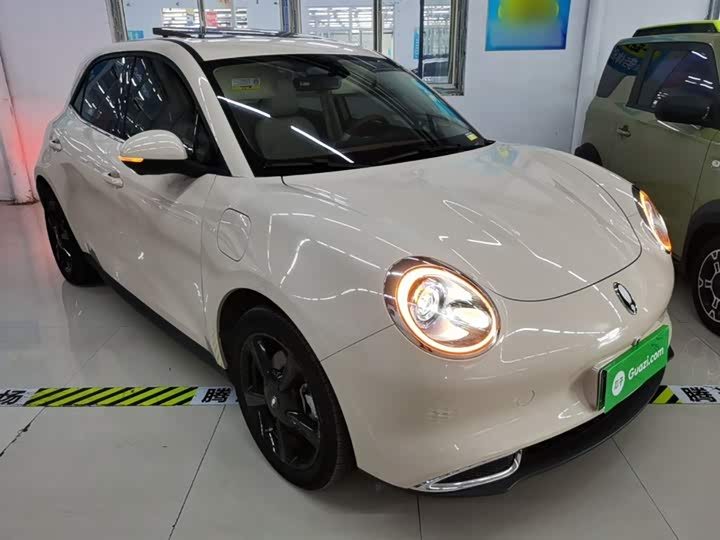 Ora Good Cat (03) 2024 2024款 401km 豪华型