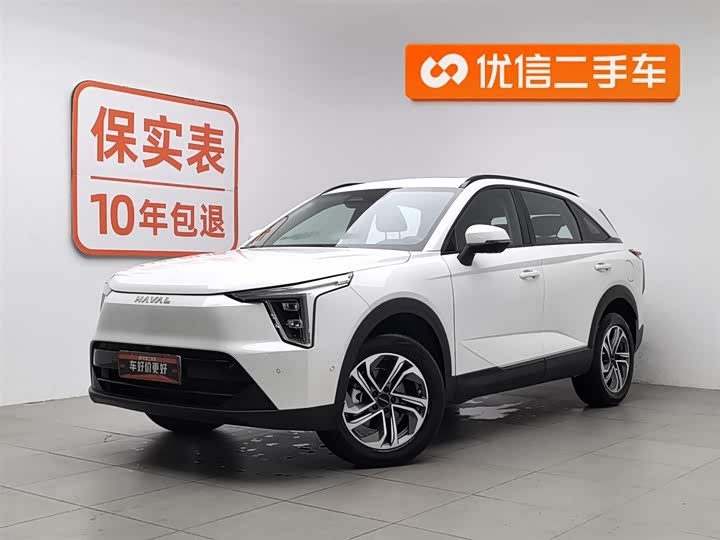 Фото 1 - Haval Ruge