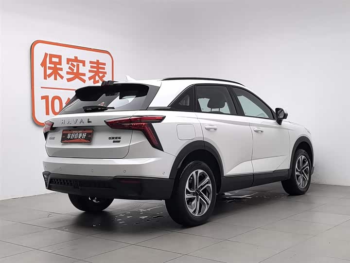 Фото 2 - Haval Ruge