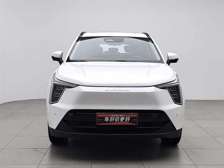 Фото 3 - Haval Ruge