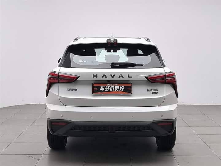 Фото 4 - Haval Ruge