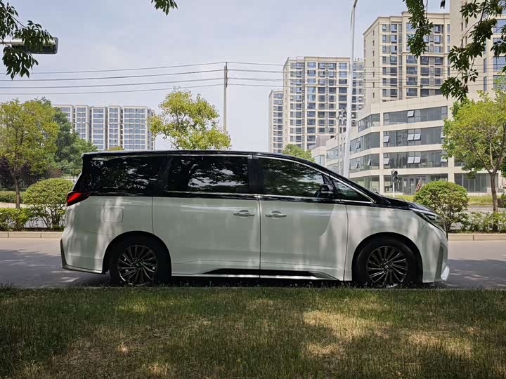 GAC Trumpchi M8 2021 2021款 大师系列 390T 至尊版