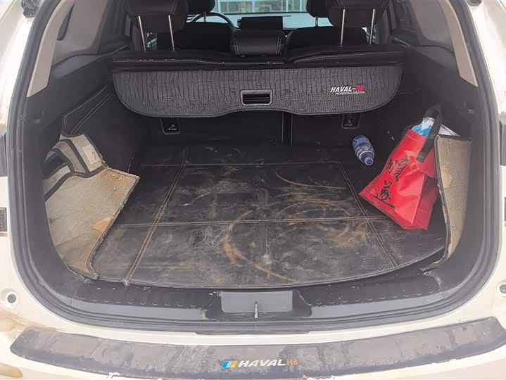 Фото 4 - Haval H6