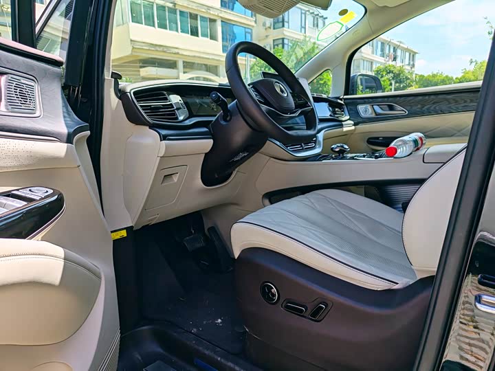 Фото 3 - Denza D9