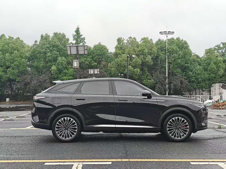 Photo 8 - Exeed RX C-DM Hybrid