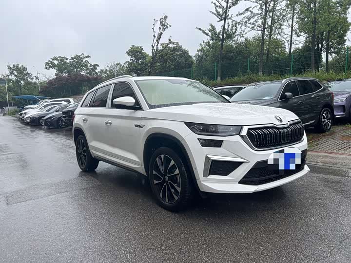 Skoda Kodiaq 2024 2024款 TSI330 7座两驱奢享版