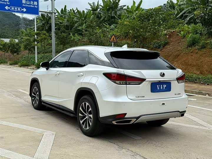 Фото 7 - Lexus RX