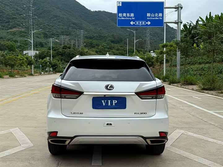 Фото 8 - Lexus RX