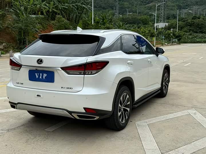 Фото 9 - Lexus RX