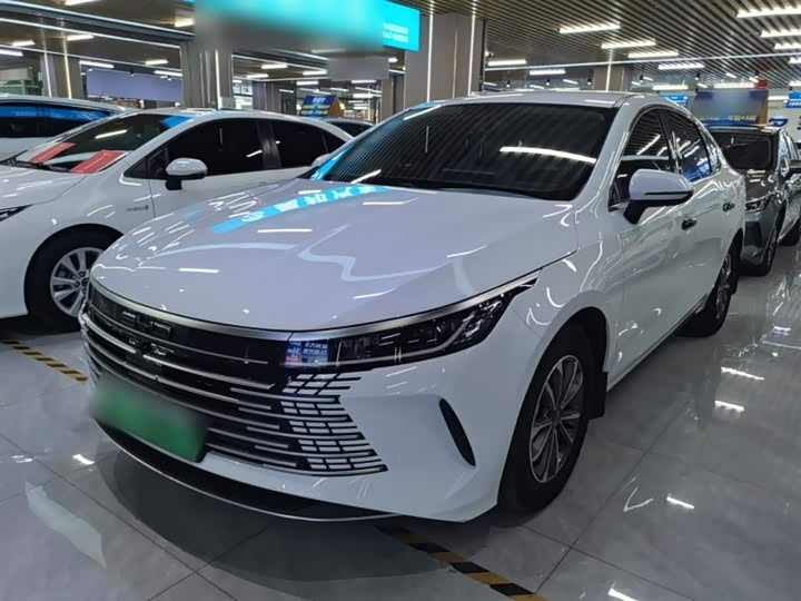BYD Destroyer 05 2024 2024款 荣耀版 DM-i 55KM 豪华型
