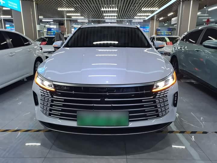 BYD Destroyer 05 2024 2024款 荣耀版 DM-i 55KM 豪华型