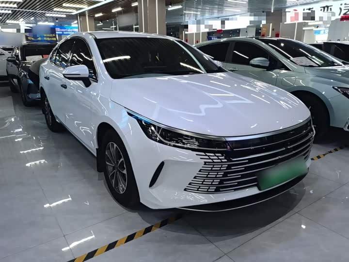 BYD Destroyer 05 2024 2024款 荣耀版 DM-i 55KM 豪华型