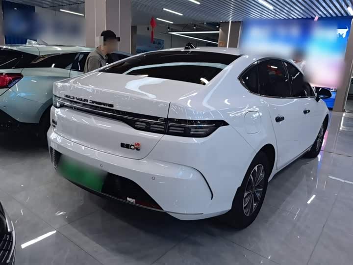BYD Destroyer 05 2024 2024款 荣耀版 DM-i 55KM 豪华型