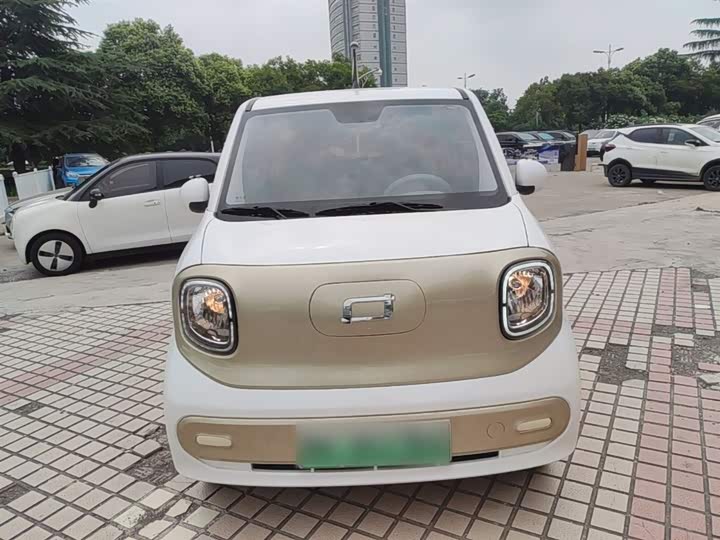 Bestune Pony 2024 2024款 170km 活力马