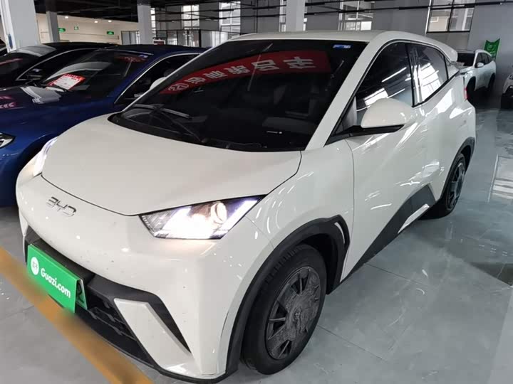 BYD Seagull 2025 2025款 305km 活力版