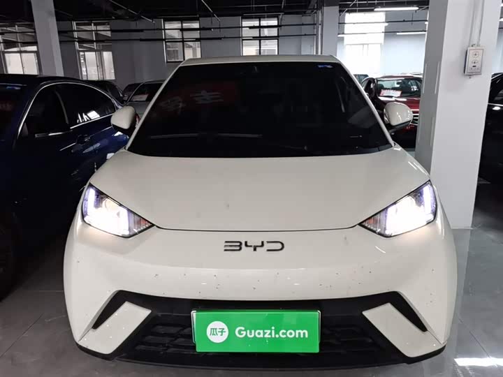 BYD Seagull 2025 2025款 305km 活力版