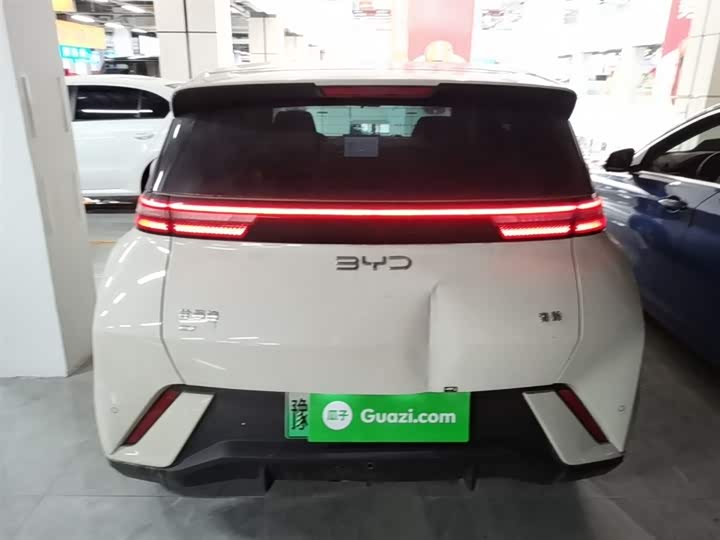 BYD Seagull 2025 2025款 305km 活力版