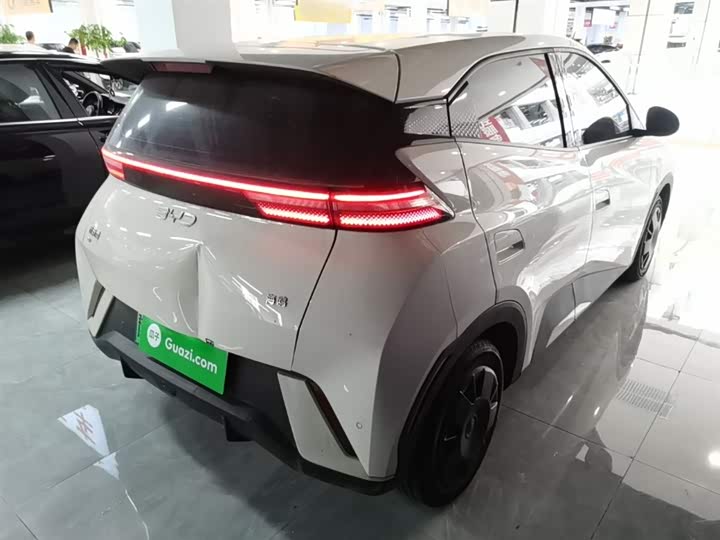 BYD Seagull 2025 2025款 305km 活力版