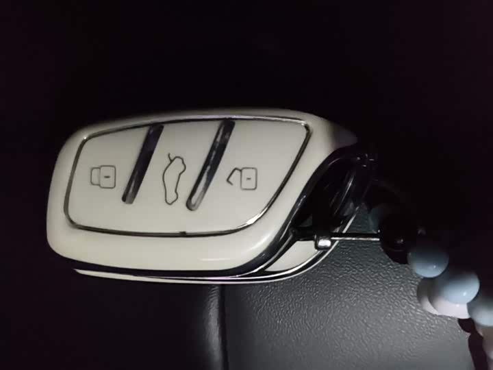 Roewe Clever 2022 2022款 311km元气啵啵版