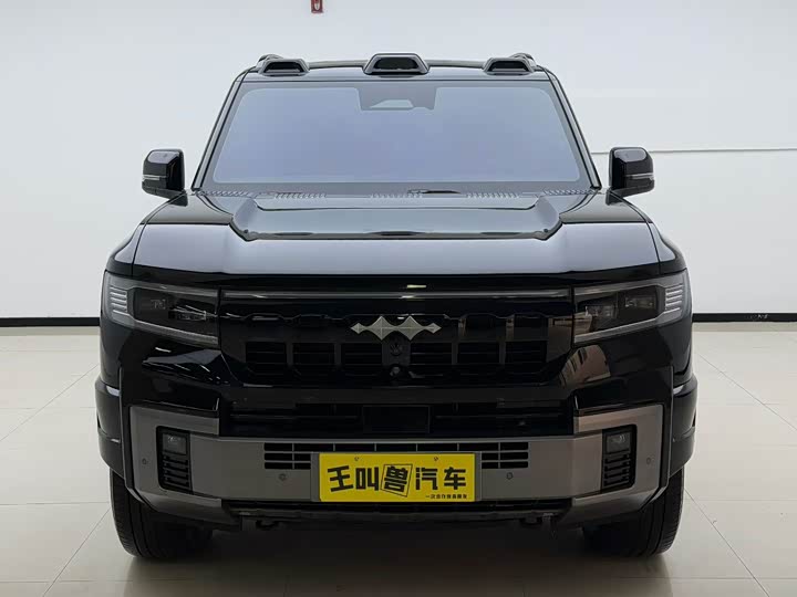 Фото 2 - BYD FangChengBao Leopard 8