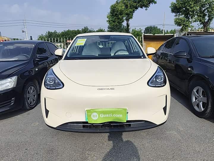 Geely Galaxy Geome 2026 2026款 310km 青春版