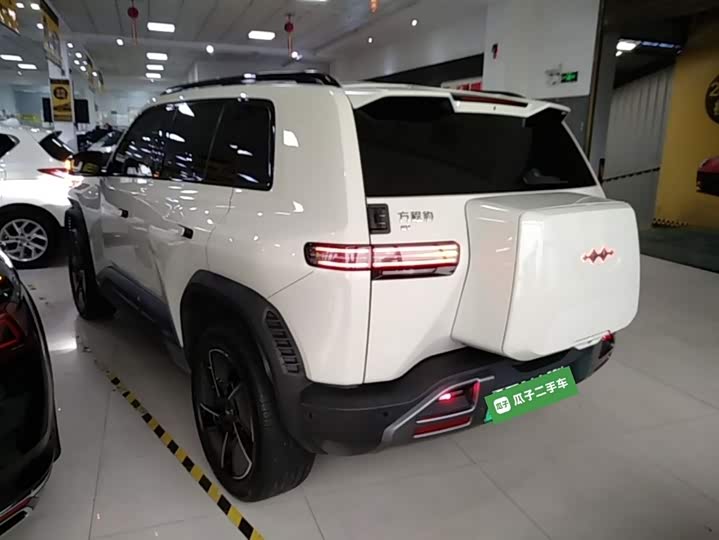 Photo 5 - BYD FangChengBao Titanium 3 (Tai 3)
