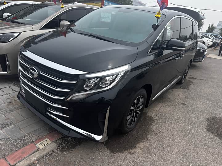 Фото 1 - GAC Trumpchi M8