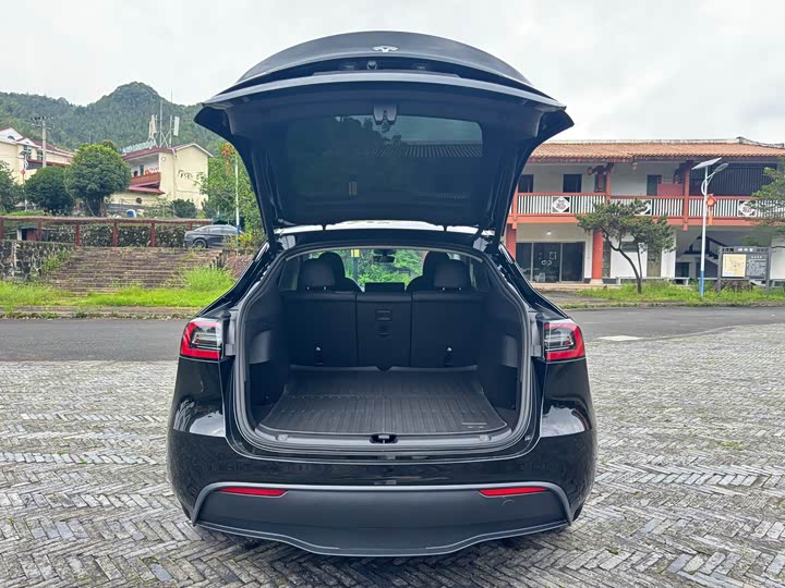 Tesla Model Y 2024 2024款 后轮驱动版