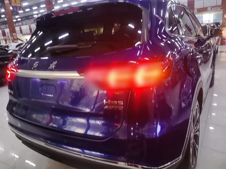 Hongqi HS5 2019 2019款 2.0T 智联旗享四驱版