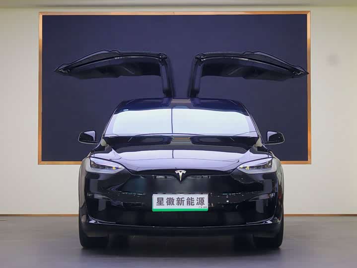 Zdjęcie 2 - Tesla Model X