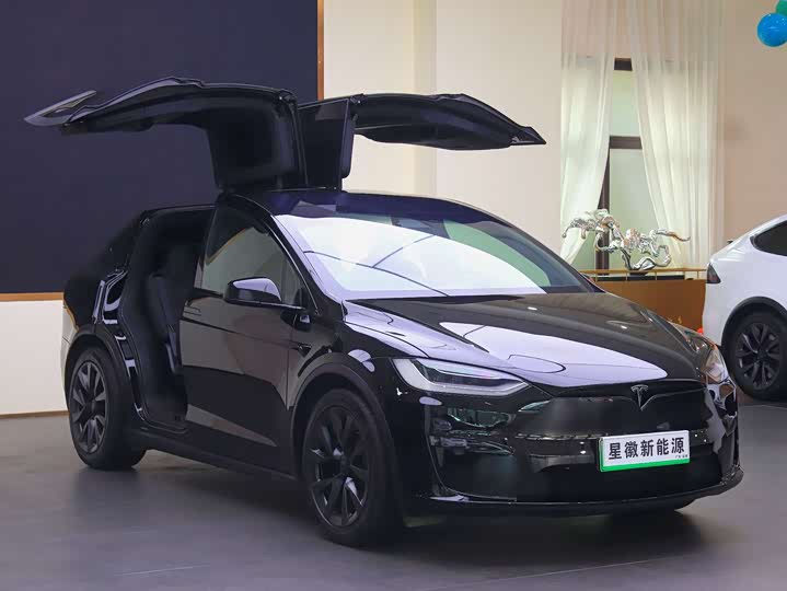 Zdjęcie 3 - Tesla Model X